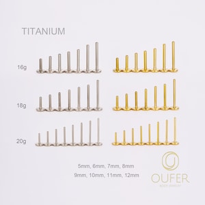 20G 18G 16G Implant Titanium Gold/Silver THREADLESS Post Replacement/Threadless Back/Push Pin/Flat Back/helix/conch/tragus/nose stud 5-12mm