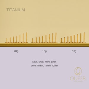 Implant 20G 18G 16G Titane Or/Argent SANS FIL Remplacement de tenon/Sans filetage arrière/Pushing Pin/Dos plat/hélice/conque/tragus/bouton nasal 5-12 mm image 2