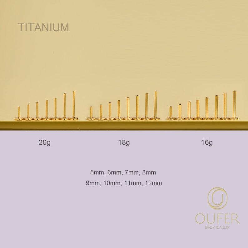 Implant 20G 18G 16G Titane Or/Argent SANS FIL Remplacement de tenon/Sans filetage arrière/Pushing Pin/Dos plat/hélice/conque/tragus/bouton nasal 5-12 mm image 2