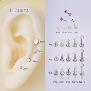 THREADLESS Tiny Disc Push Pin Flat Back 16G/18G/20G Labret Stud,Implant Titanium Circle Ends Nose/Tragus/Conch/Helix/Earlobe Stud Earring
