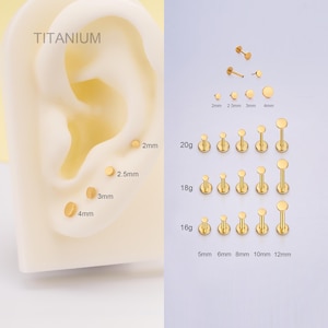 20G/18G/16G Titanium Tiny Gold Disc Ends Stud/Push Pin Labret/Threadless Flat Back Earring/Nose Stud/Cartilage Stud/Tragus/Helix/Conch Stud