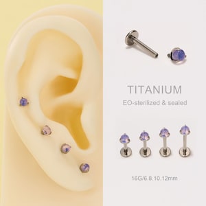 May include: Titanium ear piercing studs with purple gemstone accents. The image shows multiple studs, including those inserted in an ear model and individual pieces. Text on the image reads "TITANIUM" and "EO-sterilized & sealed".