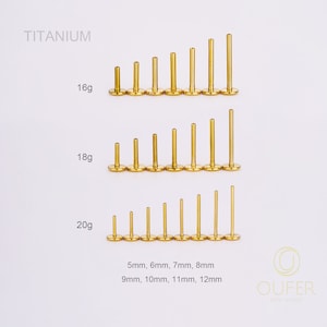 20G 18G 16G Implant Titanium Gold/Silver THREADLESS Post Replacement/Threadless Back/Push Pin/Flat Back/helix/conch/tragus/nose stud 5-12mm zdjęcie 3