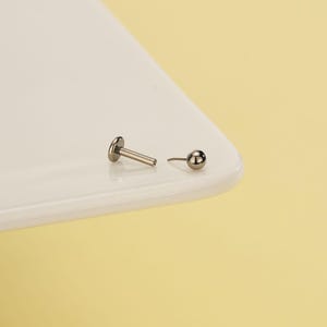 Pode incluir: Dois piercings labiais prateados. Um tem um disco plano em uma extremidade e uma haste reta. O outro tem uma pequena bola em uma extremidade e uma haste curva. Os piercings est&atilde;o em uma superf&iacute;cie branca.
