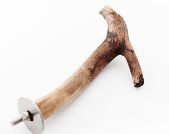 Percha rústica de álamo de 24,7 cm (9,75") – Percha de madera natural para cotorras y loros medianos, accesorio para jaula de pájaros sin tratar.