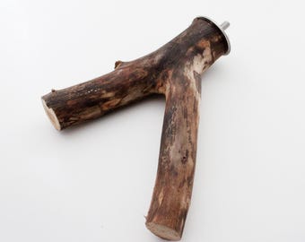 Rustic Cottonwood Bird Perch 6.75" – Natural Wood Perch for Conures, Medium Parrots, Untreated Bird Cage Accessory