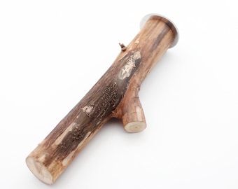 Rustic Cottonwood Bird Perch 9.5" including hardware – Natural Wood Perch for Conures, Medium Parrots, Untreated Bird Cage Accessory