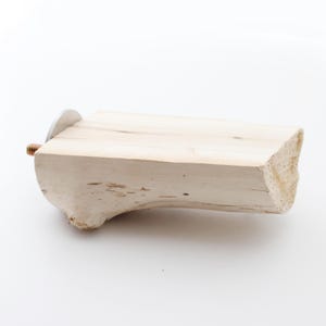 Natural Cottonwood Bird Perch – 5" × 1.5" – Flat Sanded Top with Beautiful Wood Grain for Medium Birds