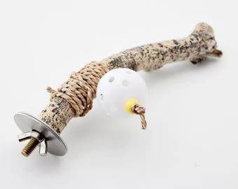 Percha rústica de álamo de 20 cm (8") – Percha de madera natural para periquitos y loros medianos, accesorio para jaula de aves sin tratar