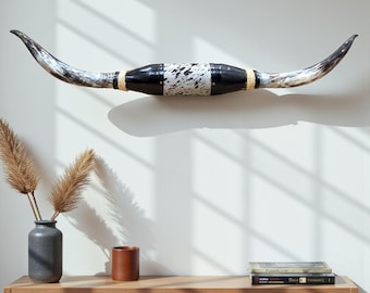 Large sized genuine bulls horn for wall mounting | Western decor