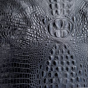 May include: Close-up of a textured, black leather surface with a crocodile or alligator scale pattern. The scales vary in size and shape, creating a detailed and luxurious appearance. The leather has a glossy finish.