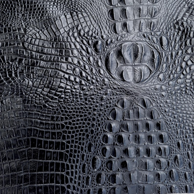 May include: Close-up of a textured, black leather surface with a crocodile or alligator scale pattern. The scales vary in size and shape, creating a detailed and luxurious appearance. The leather has a glossy finish.