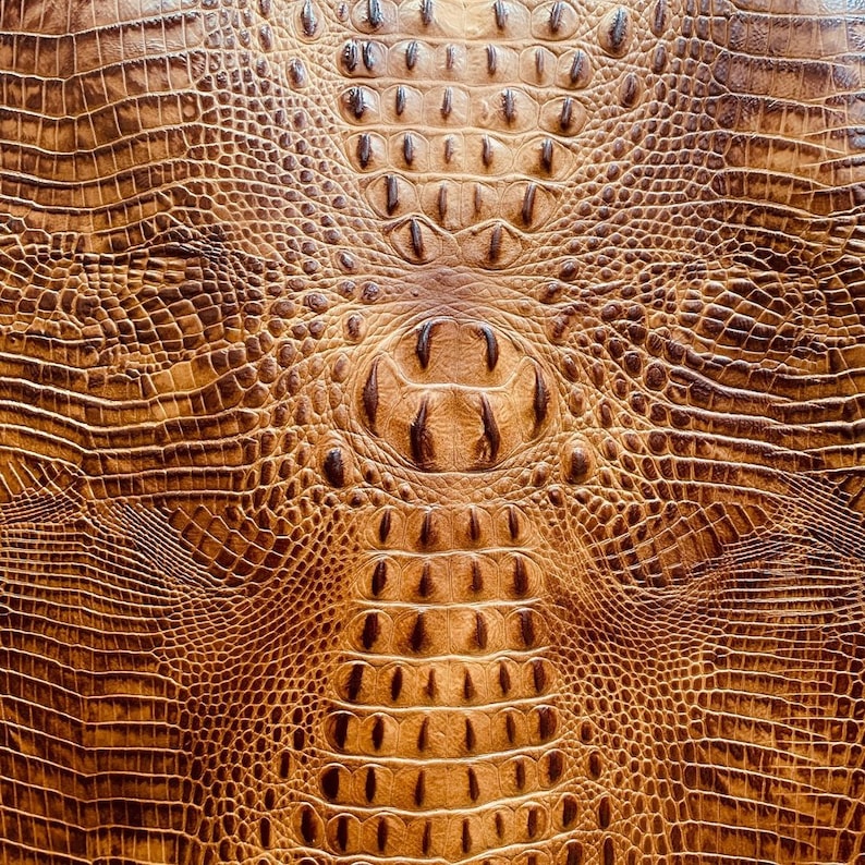 May include: Close-up of a textured, brown leather material with a reptile-like pattern. The design features a repeating scale-like texture, with a central, rounded area and a darker, textured pattern.