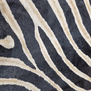 Pode incluir: Close-up de um padr&atilde;o de estampa de zebra. O design apresenta listras pretas e bege alternadas, criando uma apar&ecirc;ncia ousada e texturizada. O padr&atilde;o &eacute; provavelmente de um tecido ou pele, adequado para decora&ccedil;&atilde;o de casa ou moda.