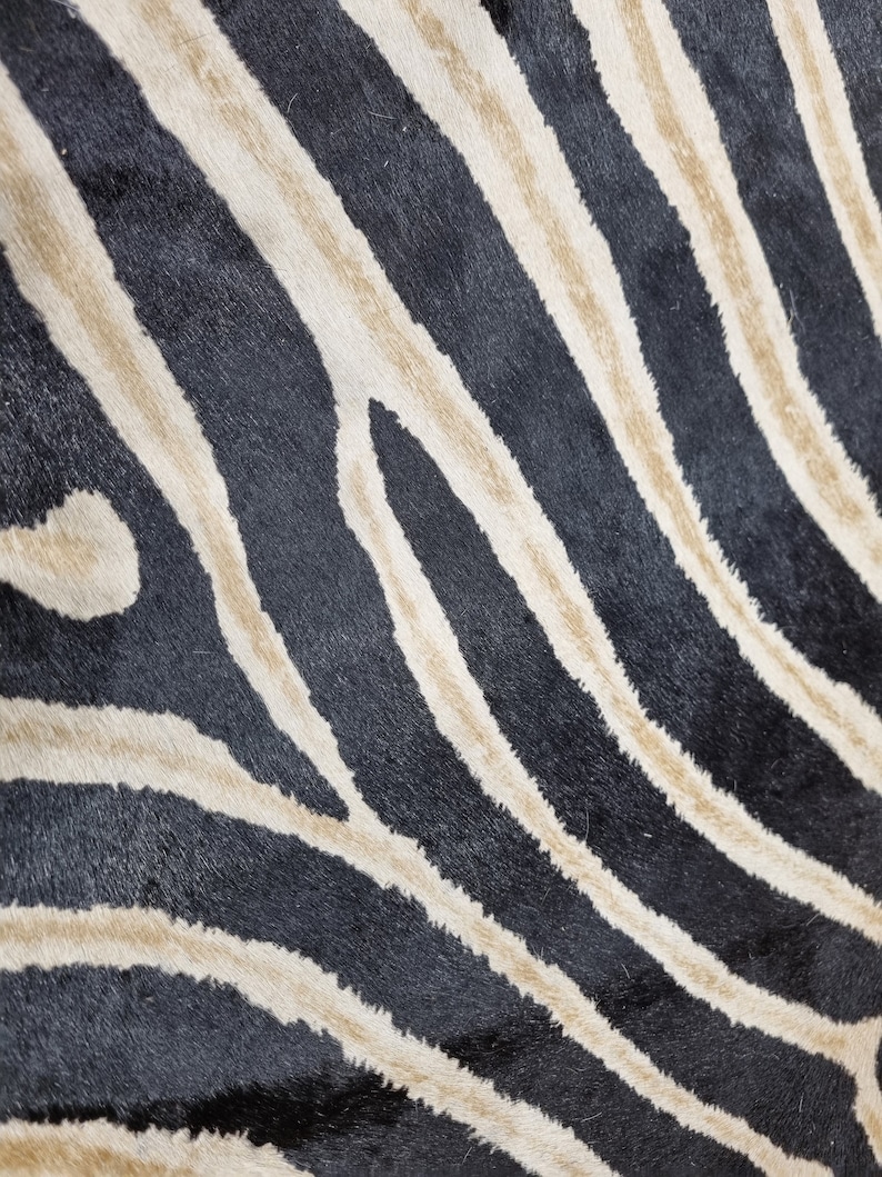 Pode incluir: Close-up de um padr&atilde;o de estampa de zebra. O design apresenta listras pretas e bege alternadas, criando uma apar&ecirc;ncia ousada e texturizada. O padr&atilde;o &eacute; provavelmente de um tecido ou pele, adequado para decora&ccedil;&atilde;o de casa ou moda.