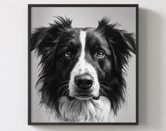 Black and White Border Collie Portrait Poster gerahmt