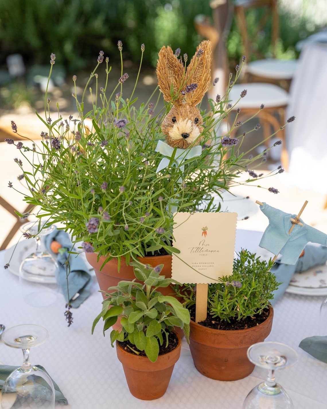 Vintage Peter Rabbit Inspired Baby Shower Table Numbers (customizable ...