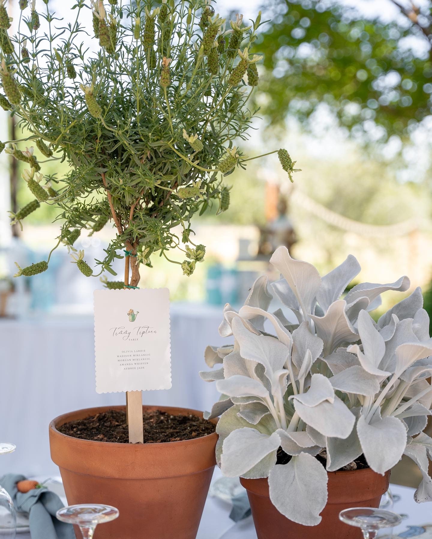 Vintage Peter Rabbit Inspired Baby Shower Table Numbers (customizable ...