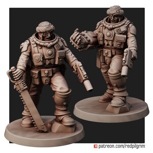 Desert hawks Command Squad image 2