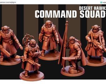 Desert hawks Command Squad 2
