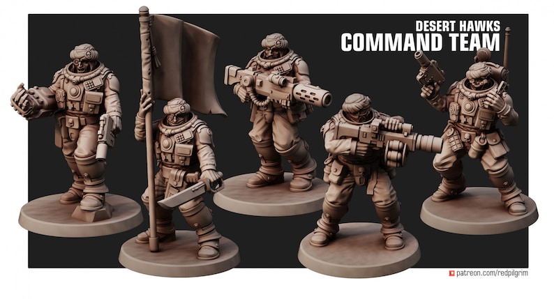 Desert hawks Command Squad image 1