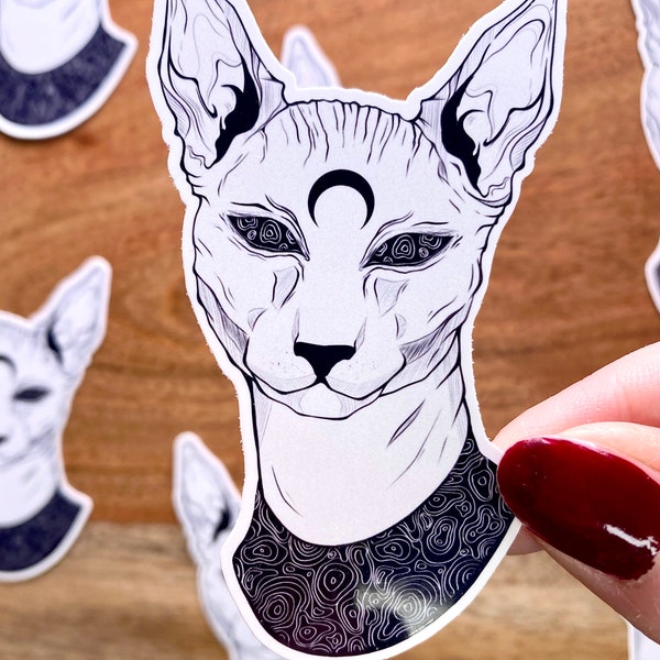 Sticker Katze - Hexe