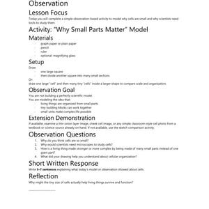 8th Grade Homeschool Curriculum Bundle | Full Year Math, ELA, Science, Social Studies (Printable PDF) image 16