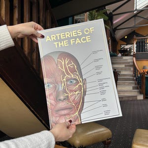 Póster de arteria facial en relieve tamaño A3