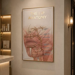 A3 Raised Foiled Lip Anatomy Poster