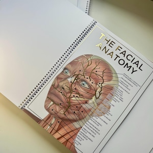 A4-häften om ansiktets anatomi i upphöjd folie (innehåller 11 affischer)
