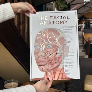 Póster de anatomía de los músculos faciales en relieve tamaño A3