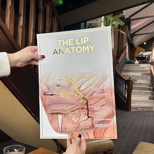 Póster de anatomía de labios en relieve tamaño A3