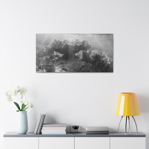 Black and White Coral Reef Photographic Print Vivid Reefscape Wall Art Ocean Scene Underwater Wall Art Gift For Marine Biologist