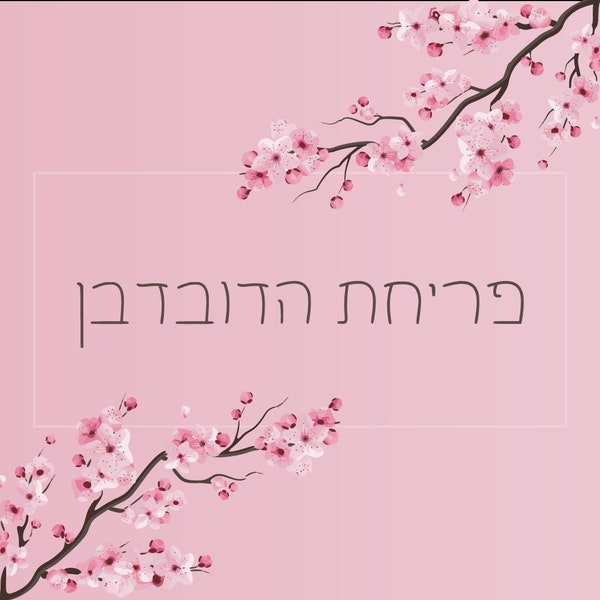 Hebrew Font - "Cherry Blossom", Hebrew Alphabet, Calligraphy Font, personal Use Font, Handwritten Font, פונט בעברית, גופן