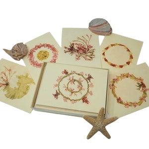 Vintage Seaweed 12 Greeting Card Set