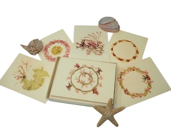 Vintage Seaweed 12 Greeting Card Set