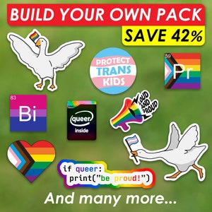 LGBTQ Queer Sticker Pride Sticker Pack Gay Code Sticker Trans Sticker Lesbian Sticker Safe Space You Can Be Yourself With Me Gift