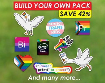 LGBTQ Queer Sticker Pride Sticker Pack Gay Code Autocollant Trans Autocollant Lesbien Autocollant Espace sûr Vous pouvez être vous-même avec moi Cadeau