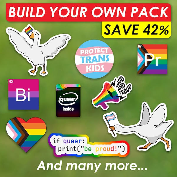 LGBTQ Queer Sticker Pride Sticker Pack Gay Code Autocollant Trans Autocollant Lesbien Autocollant Espace sûr Vous pouvez être vous-même avec moi Cadeau