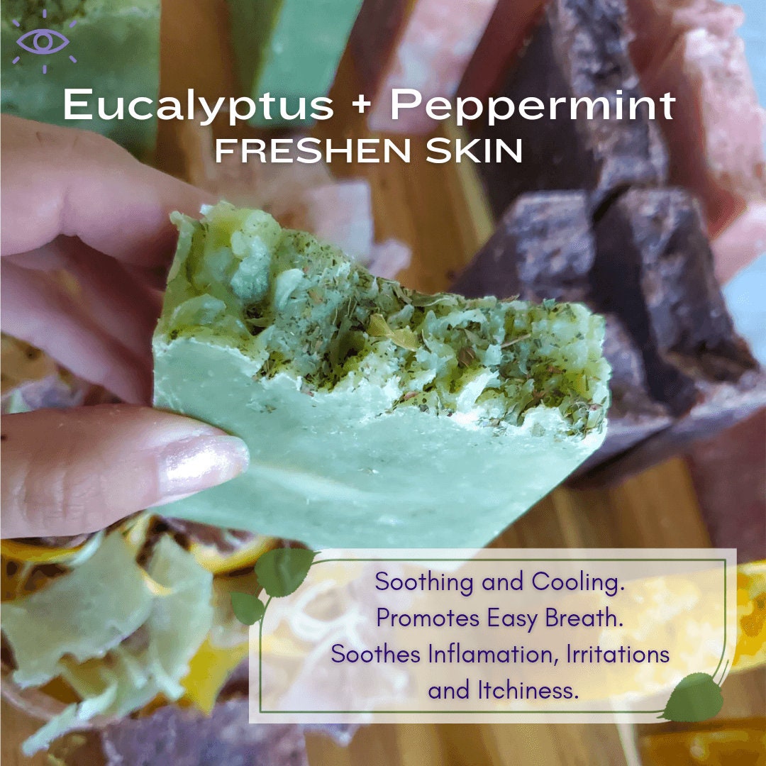 EUCALYPTUS MINT With Organic Olive Oil, Coconut Oil Castor Oil Soap Bar ...