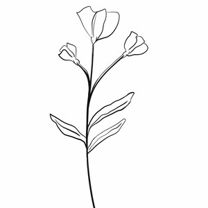 Printable Wall Print, Minimalist Botanical Art Print, Printable Wall Line Art, Printable Botanical Wall Art, Printable Flower Wall Art