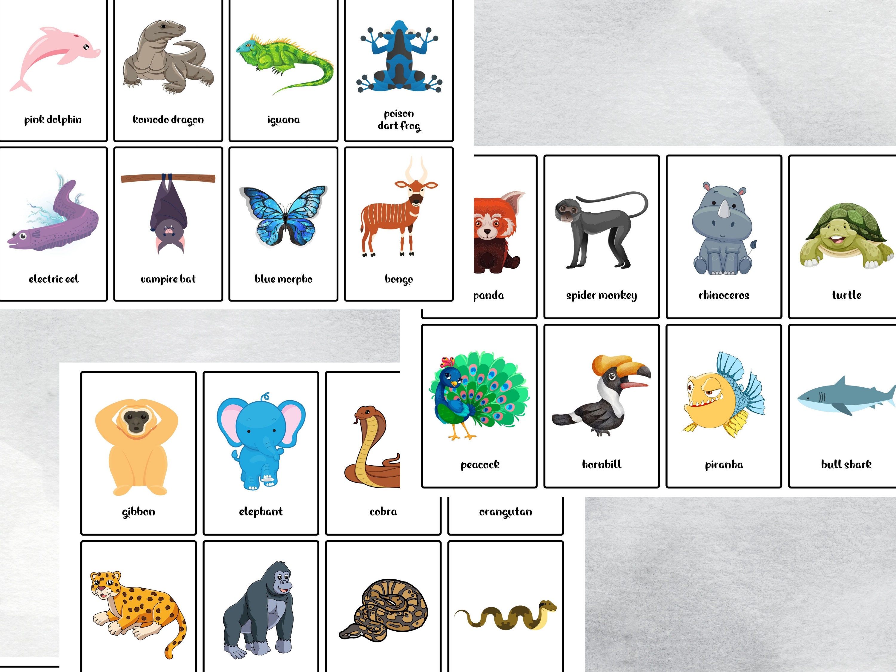 40 Printable Jungle Animal Flash Cards, Educational Printable Cards ...