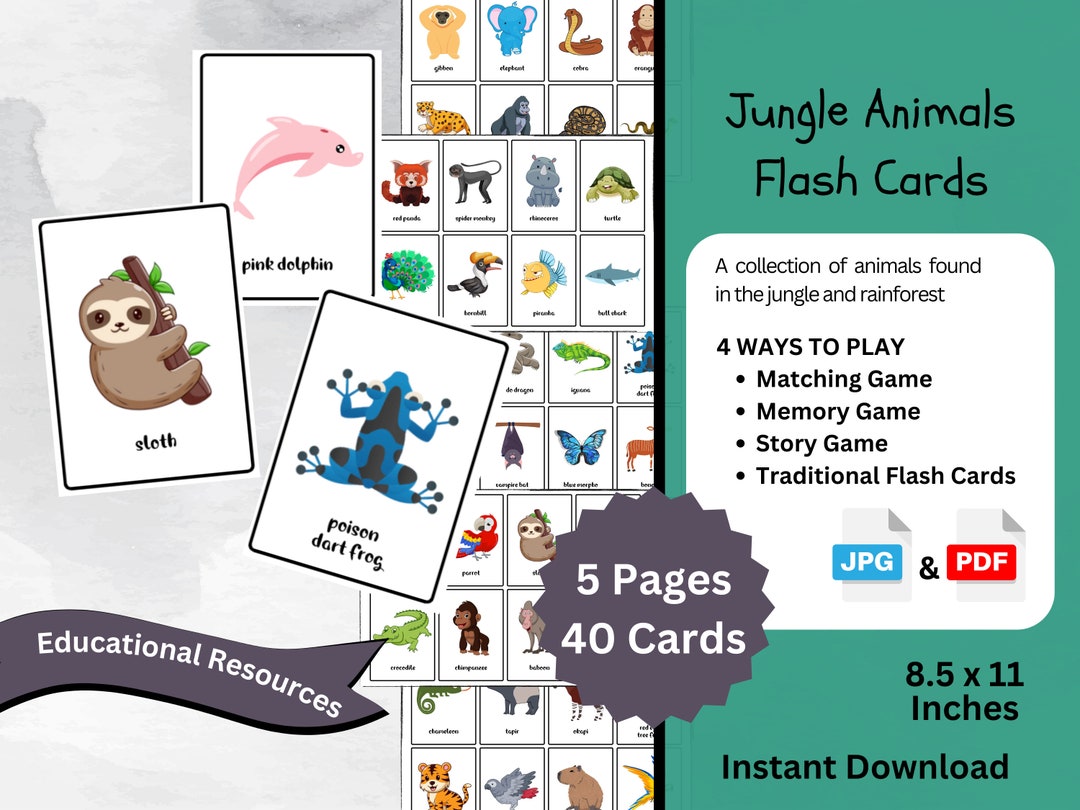 40 Printable Jungle Animal Flash Cards Educational Printable - Etsy