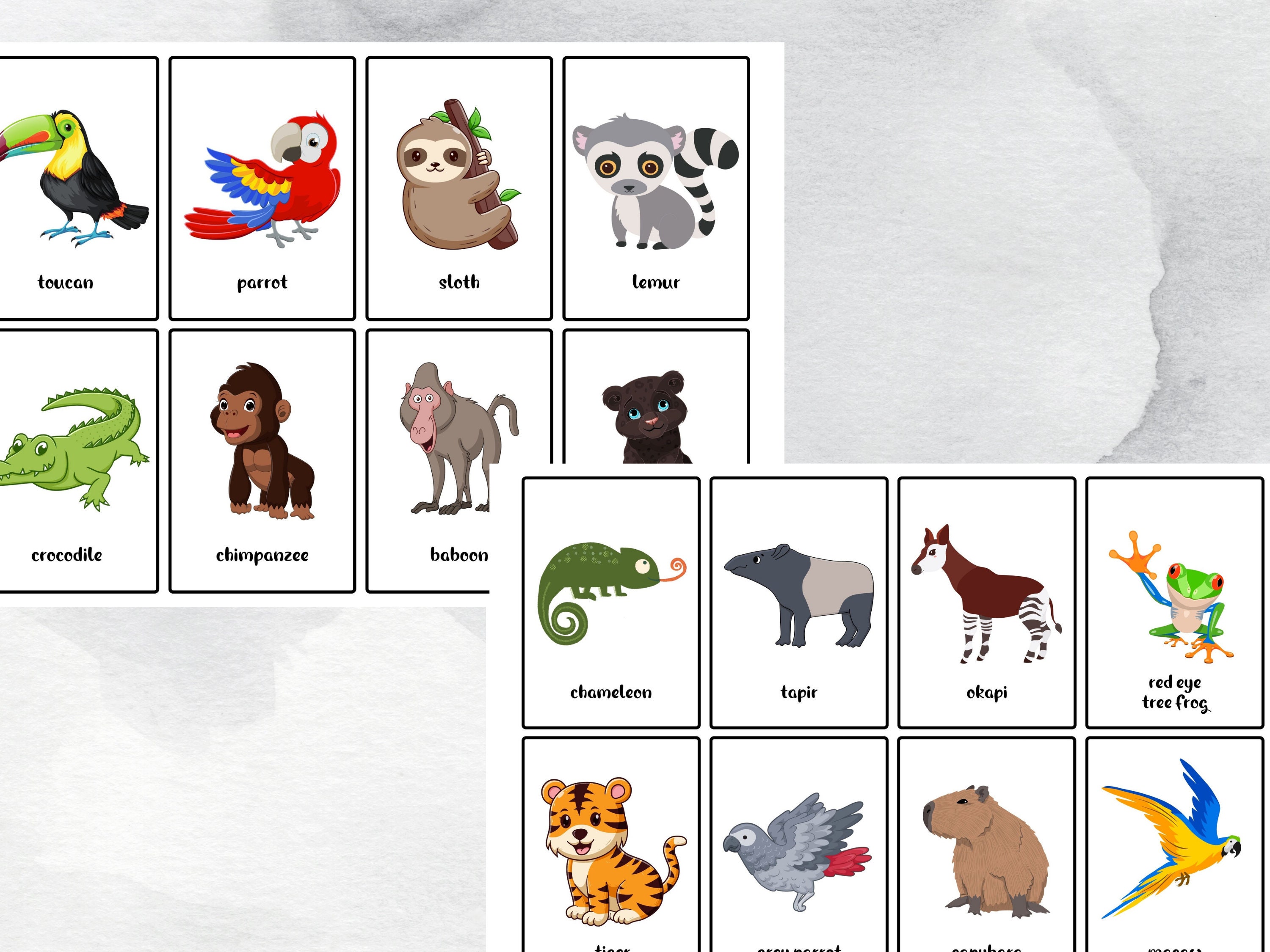 40 Printable Jungle Animal Flash Cards, Educational Printable Cards ...