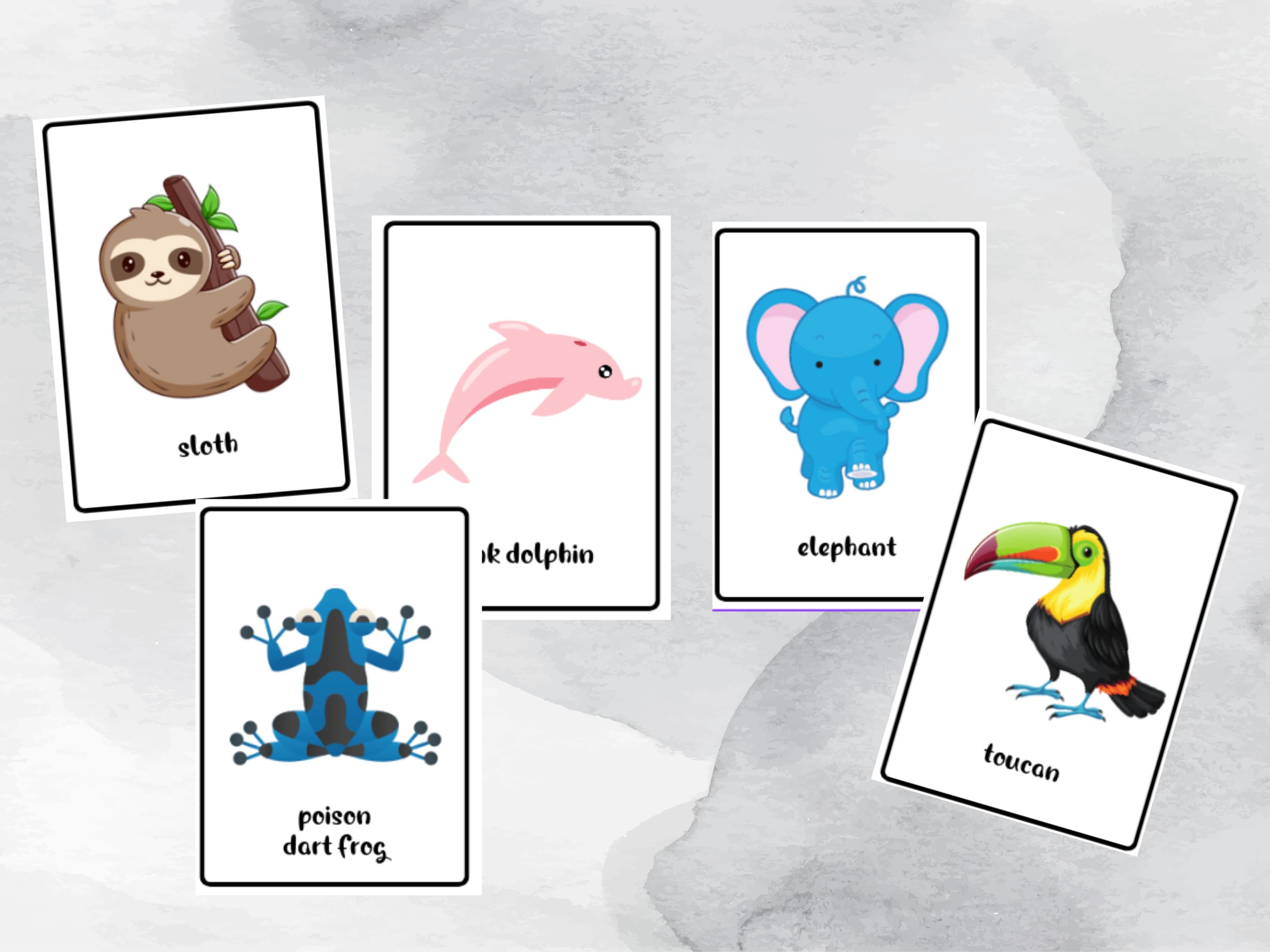 Printable Animal Flash Cards