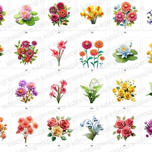 Op de afbeelding: Een verzameling van 48 verschillende bloemstukken, elk met een unieke combinatie van kleuren en soorten bloemen. De bloemen zijn afgebeeld in een realistische stijl, met ingewikkelde details en levendige tinten.