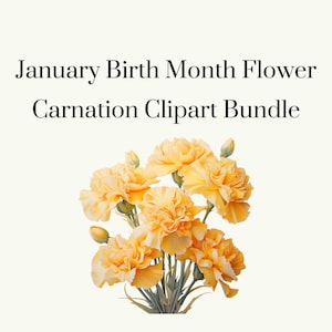 Birth Month Flower PNG Designs, January Birth Flower Designer PNG Designs, Carnation Clip Art, Carnation Clipart, Printable Flower PNG