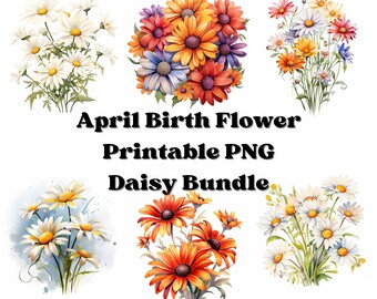Daisy PNG-bundel - april geboortemaand bloem clipart - aquarel Daisy - 20 kunstzinnig gemaakte ontwerpen