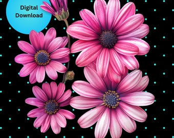 Pink Daisy Clipart: Gerber Flower PNG for Sublimation (Digital Download)