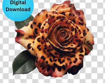 Leopard Print Rose Clipart: Transparent PNG (Digital Download)